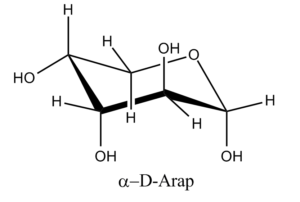 12b. Î±-D-Arabinopyranose