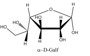 αD-Galactofuranose