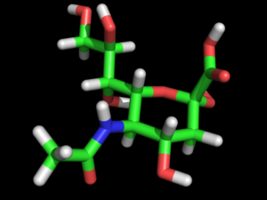 10c. N-Acetyl Neuraminic Acid Î±-D
