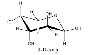 16b. Î²-D-Arabinopyranose
