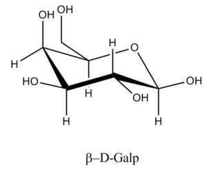 26b. Î²-D-Galactopyranose