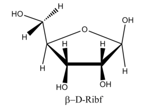 35b. Î²-D-Ribofuranose