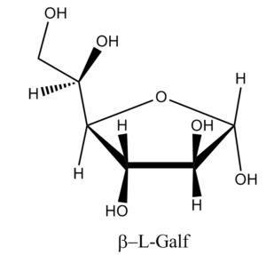 27b. Î²-L-Galactofuranose