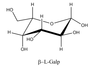 28b. Î²-L-Galactopyranose