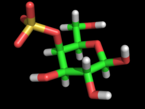 32c. Galactopyranose 4-Sulfate Î²-D