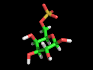 36c. Galactopyranose 6-Sulfate Î²-D
