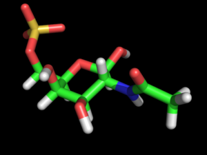 74c. N-Acetyl Galactosamine 6-Sulfate Î²-D