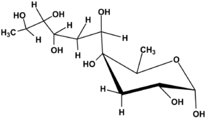 12b. Caryophyllose