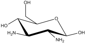 22b. DAG Î²-D: Di-Amino Î²-D Glucose