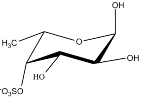 46b. Fucopyranose 4-Sulfate Î±-L