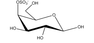 32b. Galactopyranose 4-Sulfate Î²-D
