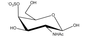 76b. N-Acetyl Galactosamine 4-Sulfate Î²-D