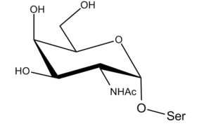 78b. N-Acetyl Galactosamine Î±-D 1-3 Ser