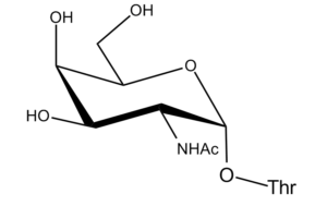 80b. N-Acetyl Galactosamine Î±-D 1-3 Thr