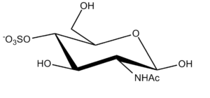 66b. N-Acetyl Glucosamine 4-S Î²-D