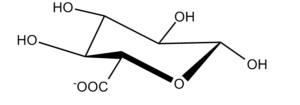 20b. Idopyranuronic Î±-L (1C4 conf.)