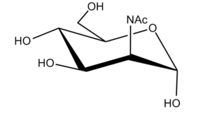 56b. N-Acetyl Mannosamine Î±-D