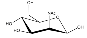 58b. N-Acetyl Mannosamine Î²-D