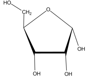 32b. Ribofuranose Î±-D (Southern conf.)