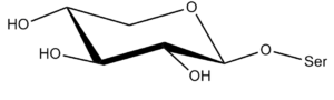 60b. Xylopyranose Î²-D 1-3 Ser