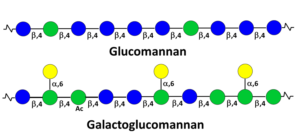 gluci-galacomannan.png