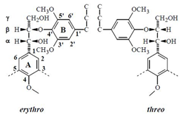 Figure 2 : Absolute configuration of four stereoisomers of syringylglycerol-8-O-4Î„-(sinapyl alcohol) ethers (SGSEs). (From Alam et al., 2010)