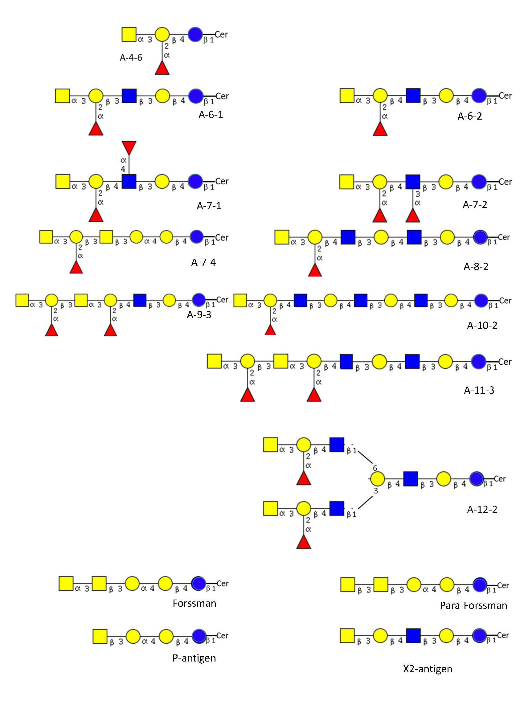 Biosynthesis of ABO glycolipids Glycopedia