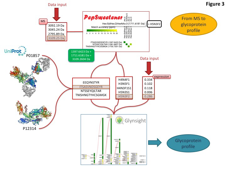 From Mass Spectrometry data to glycoprotein profile.