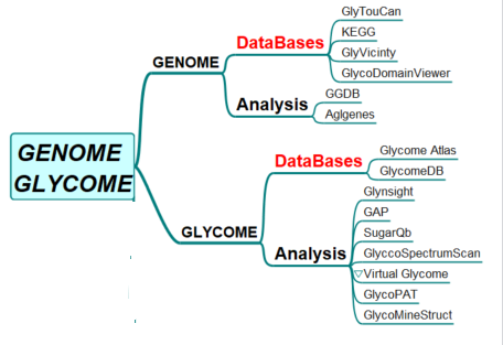glycome.png