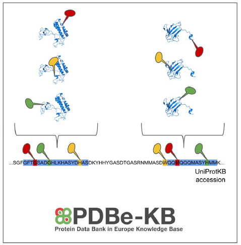 pdbe-kb.png