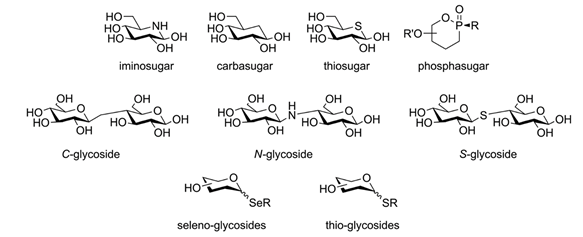 Figure 6. Examples of monovalent glycomimetics. Adapted from Tamburrini and co-workers (2020). (Tamburrini et al., 2020)
