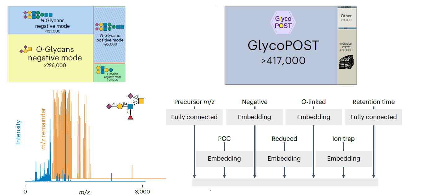 Predicting Glycan Structure from Tandem Mass Spectrometry via Deep ...