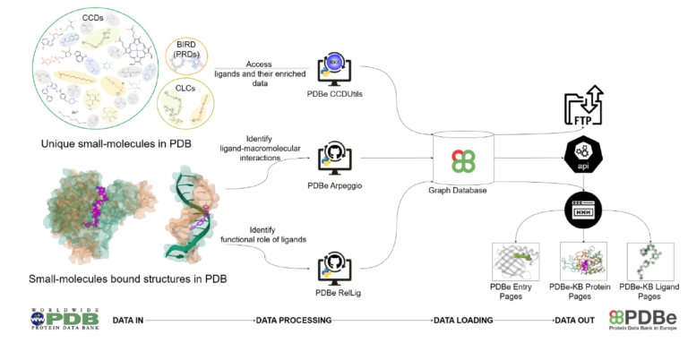 PDBe tools for an in-depth analysis of small molecules in the Protein ...